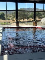 Una piscina con dos barriles de madera, una escalera y vistas a un paisaje montañoso a través de amplios ventanales.