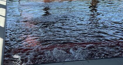 Hotel Boutique BC Wine Casablanca