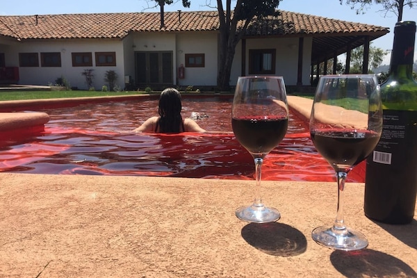 Seasonal outdoor pool, pool loungers