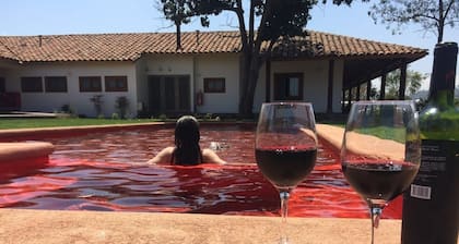Hotel Boutique BC Wine Casablanca