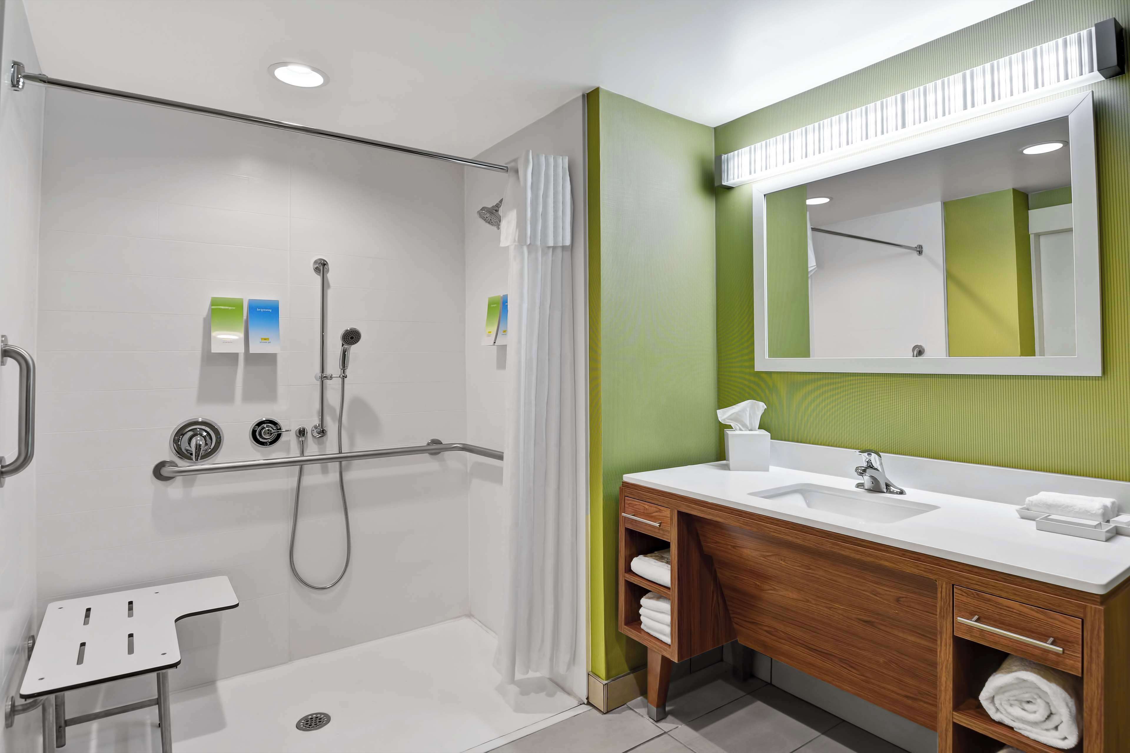 suite, 1 king bed, accessible, non smoking | bathroom shower