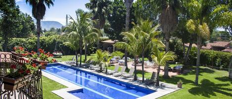 A swimming pool with a surrounding garden, palm trees, and a clear blue sky.