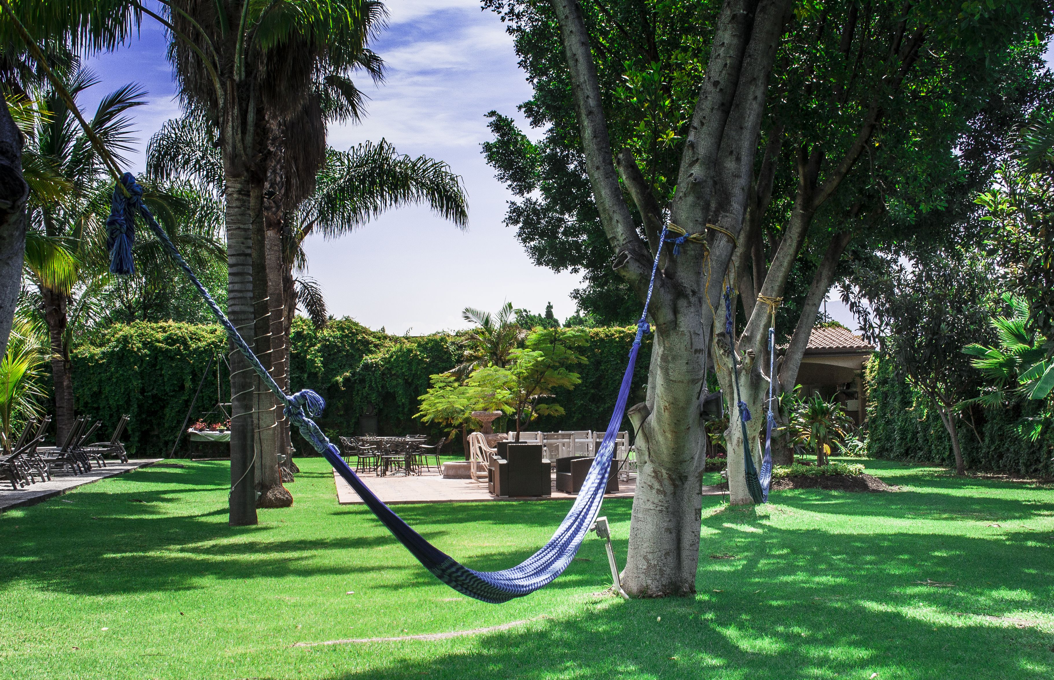 A hammock between trees in a lush garden with outdoor furniture.