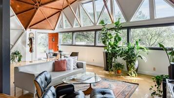 TV, DVD player, books, music library