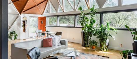 Télévision, lecteur de DVD, livres, médiathèque