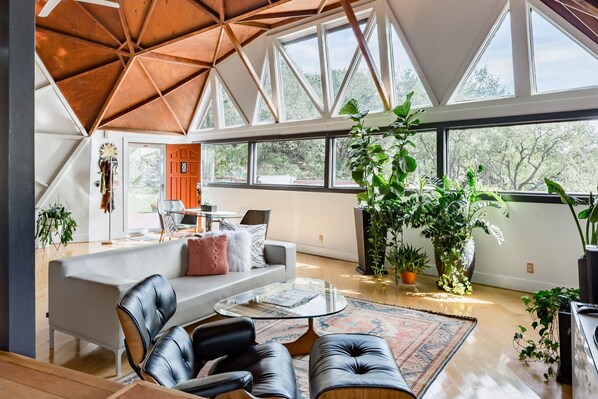 TV, DVD player, books, music library