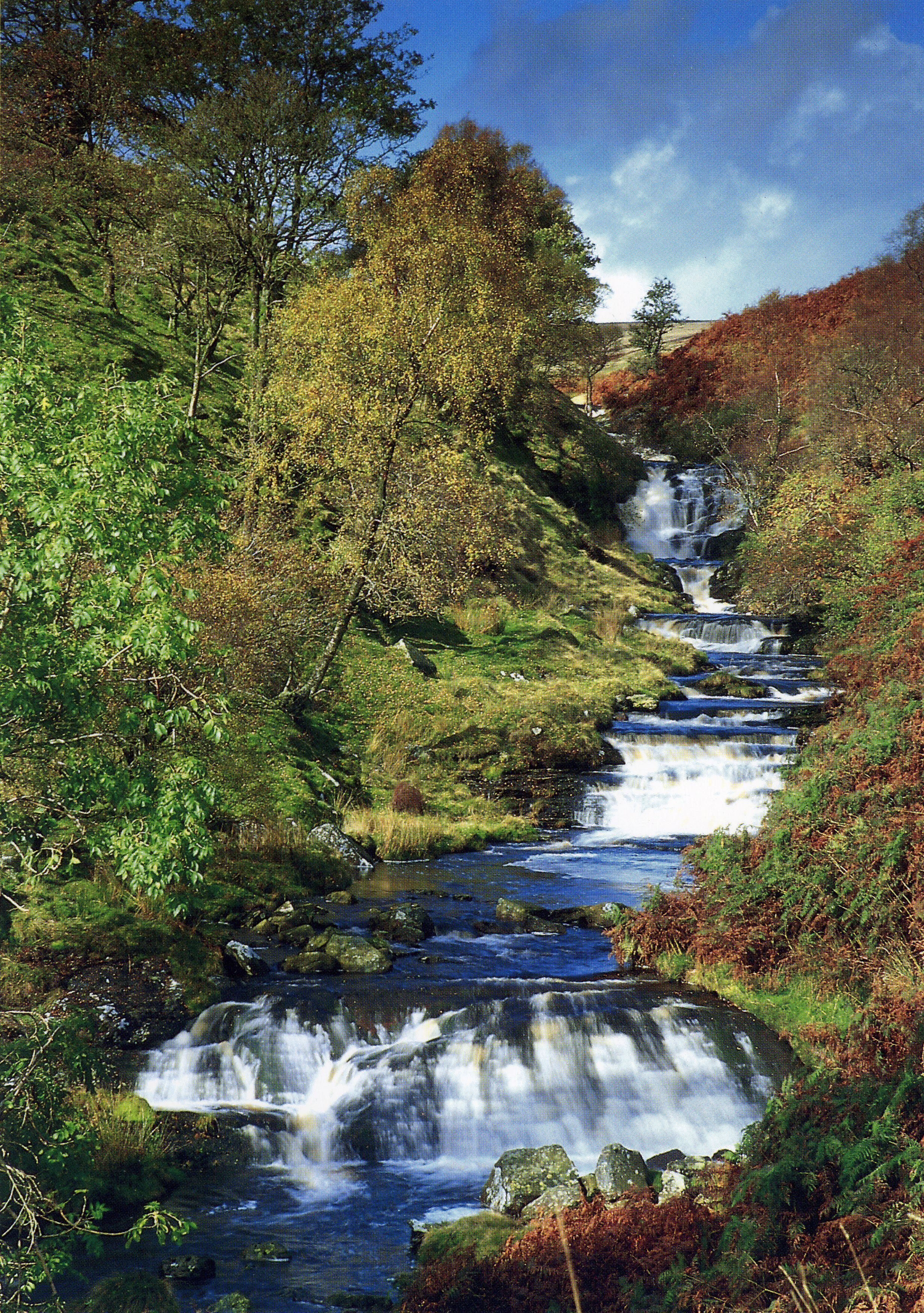 A waterfall cascading over rocks in a lush, green valley.