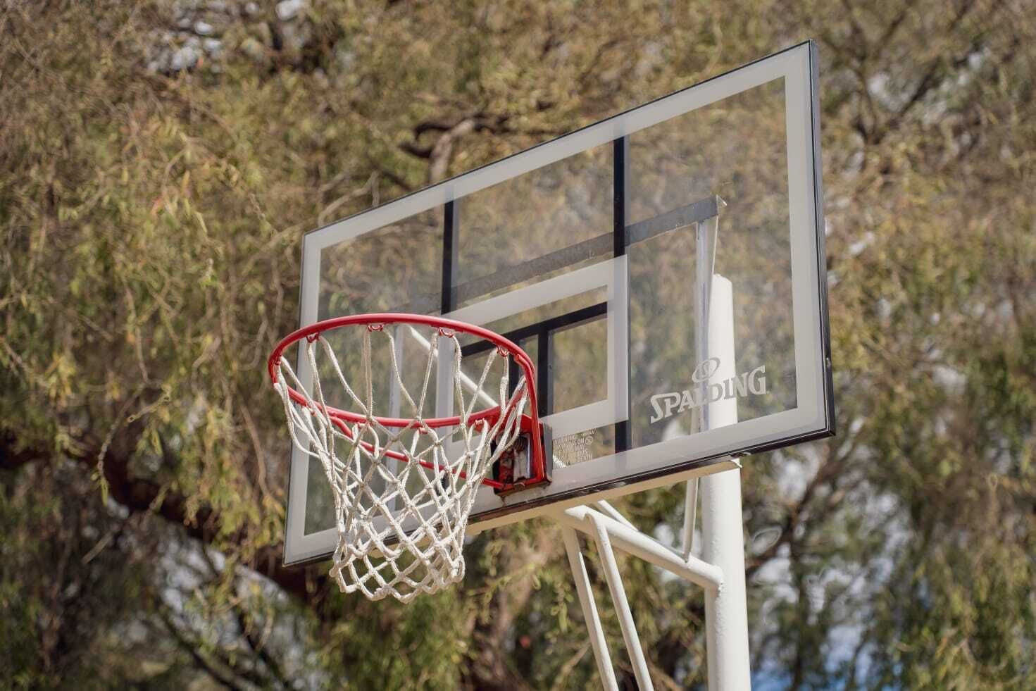 A basketball hoop with a Spalding logo, set against a backdrop of trees.