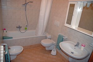 Combined shower/bathtub, hair dryer, bidet, towels