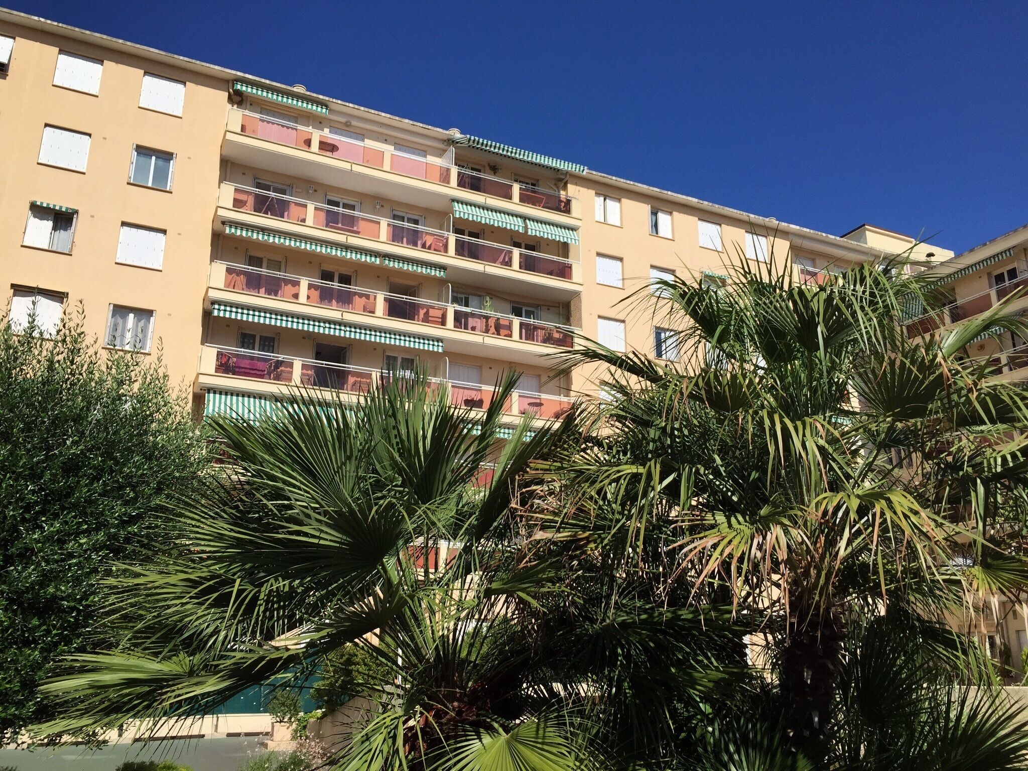 A multi-story residential building with balconies, surrounded by palm trees.