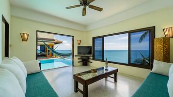 Smart TV, DVD player, books, music library
