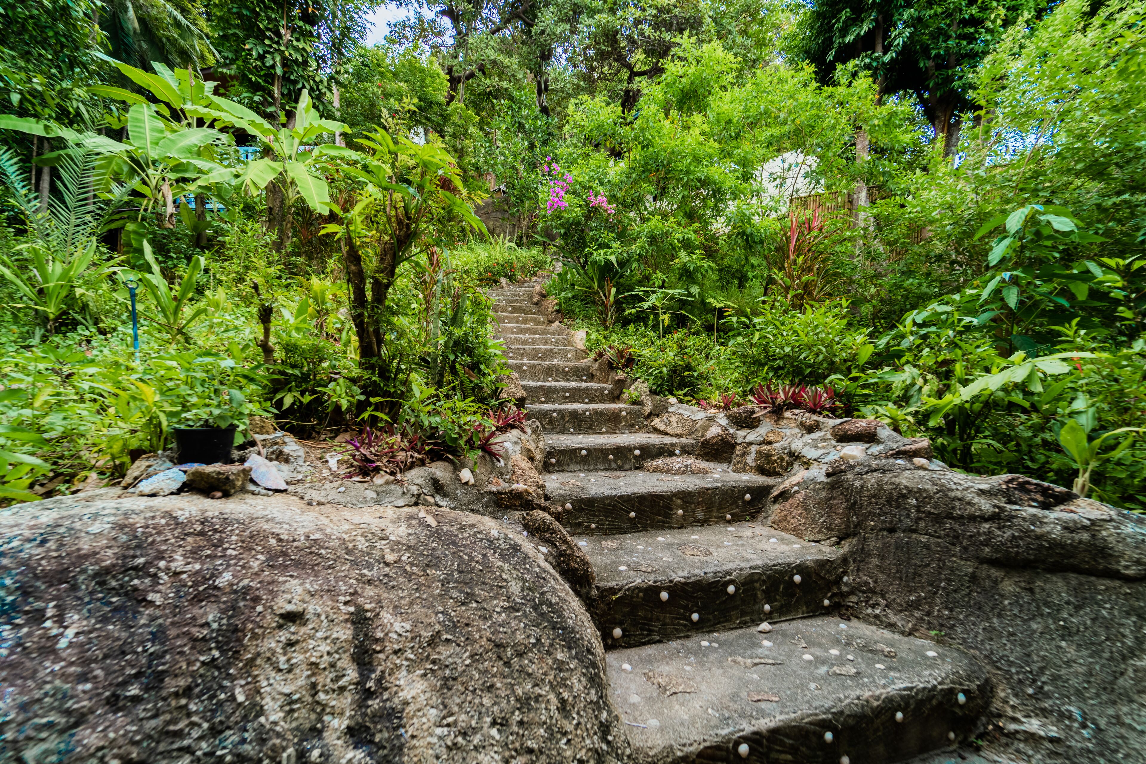 Enceinte de l’hébergement