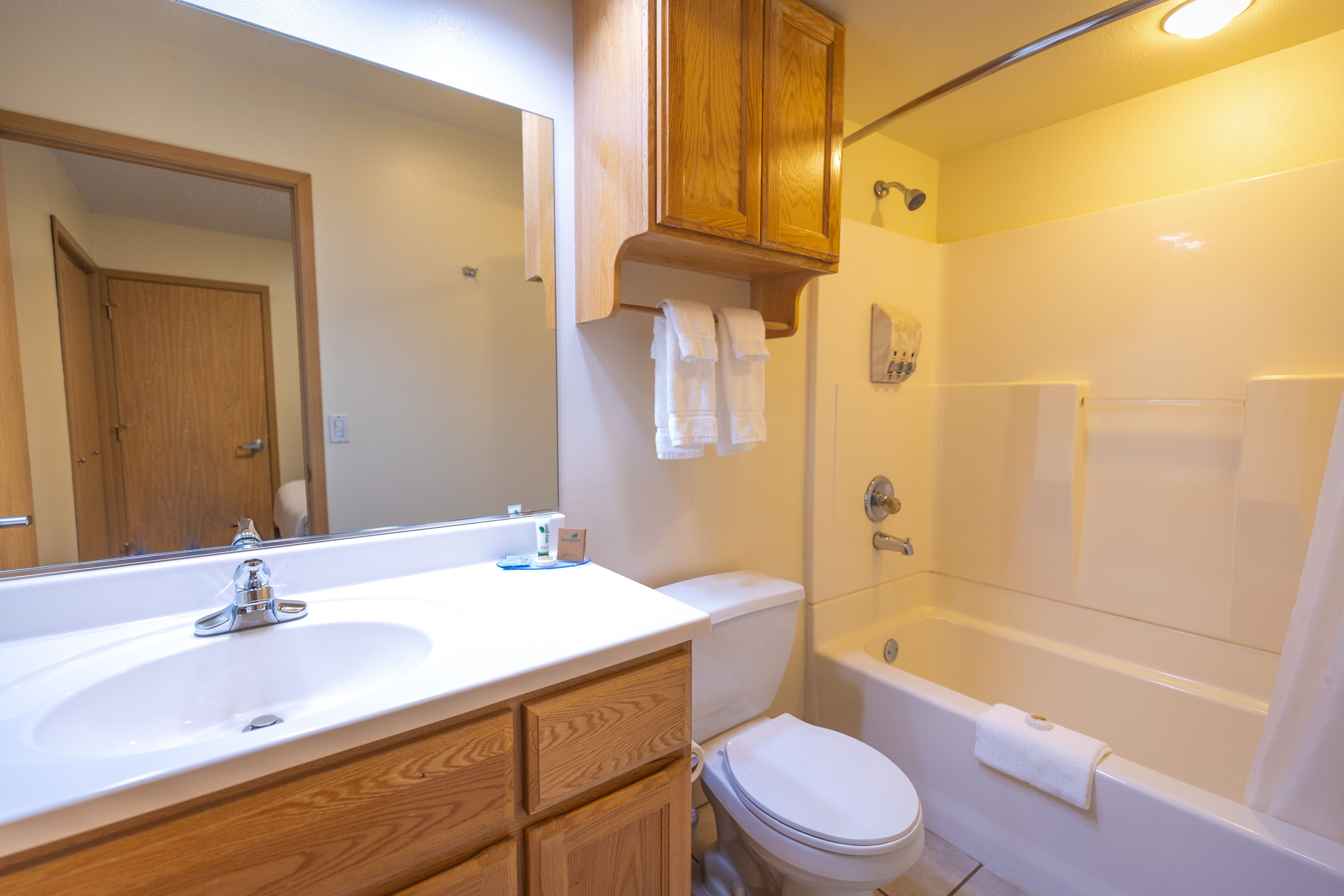 combined shower/bathtub, hair dryer, towels, soap