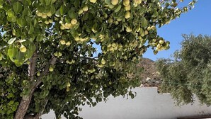 Property grounds - House in Los Perales, Sorbas, to disconnect in a natural paradise. (SORBAS)