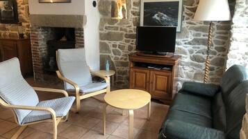 Televisión, chimenea, reproductor de DVD y libros