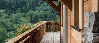 Chalet LUXE 13 p. , La Bresse Vosges, PMR, sauna, JACUZZI, WIFI, bien situé.  