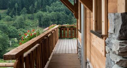 Chalet LUXE 13 p. , La Bresse Vosges, PMR, sauna, JACUZZI, WIFI, bien situé.