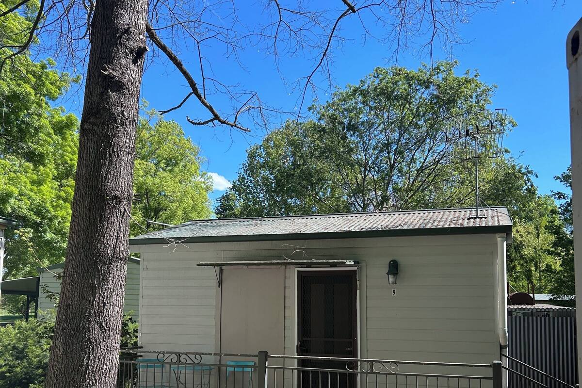 Basic Cabin, Ensuite | Teres/patio