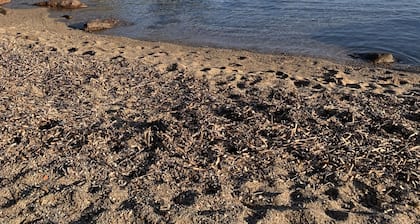 Apartment 7 Rooms, 120 m² in villa St Raphael / Boulouris