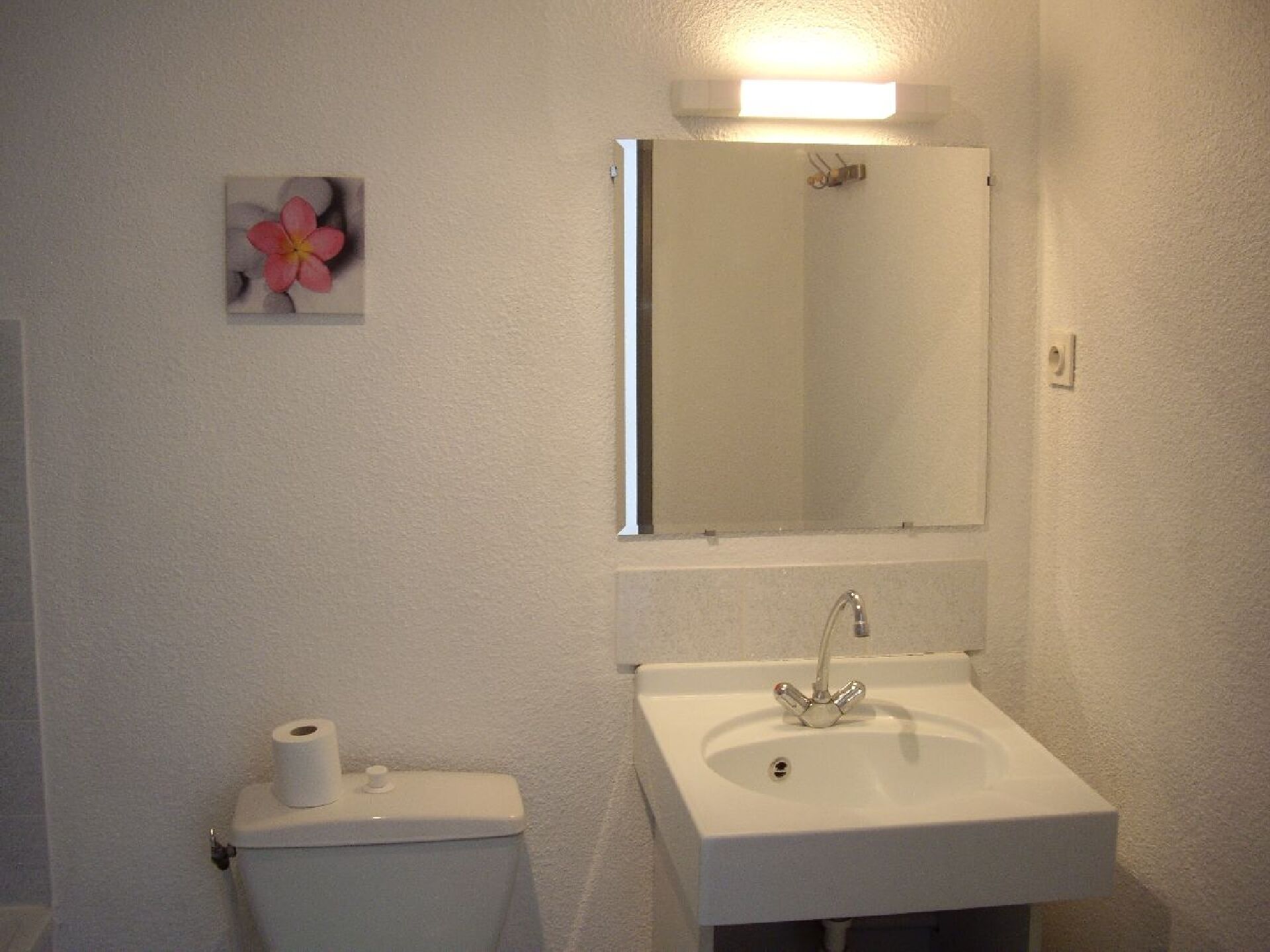 Een badkamer met toilet, wastafel en een spiegel boven de wastafel.
