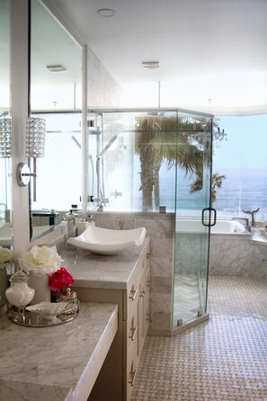 Shower, jetted tub, hair dryer, towels