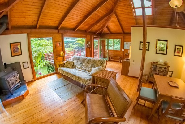 Smart TV, chimenea, reproductor de DVD y libros