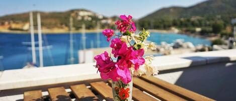 Un banco de madera con un florero frente a una piscina.