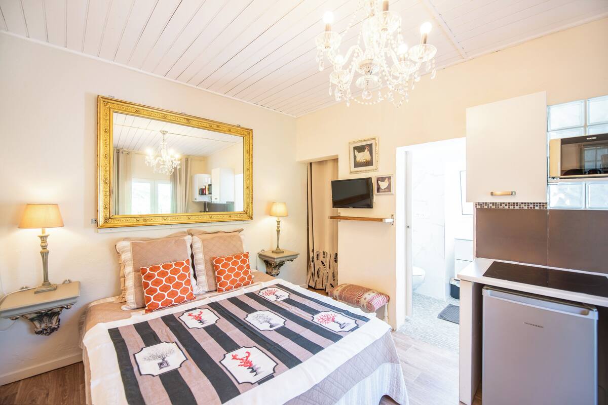 A bedroom with a bed, a large mirror, a chandelier, a television, and a kitchenette.