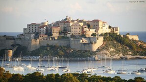 A coastal town with historic buildings and a harbor filled with sailboats.