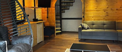 Televisión LED, chimenea, reproductor de DVD