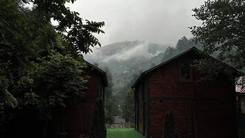 Un patio con dos edificios de madera, un sendero empedrado y un césped verde.