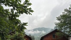 A rustic wooden building with a paved courtyard and a green lawn. - Tanura Bungalows (Camlihemsin)