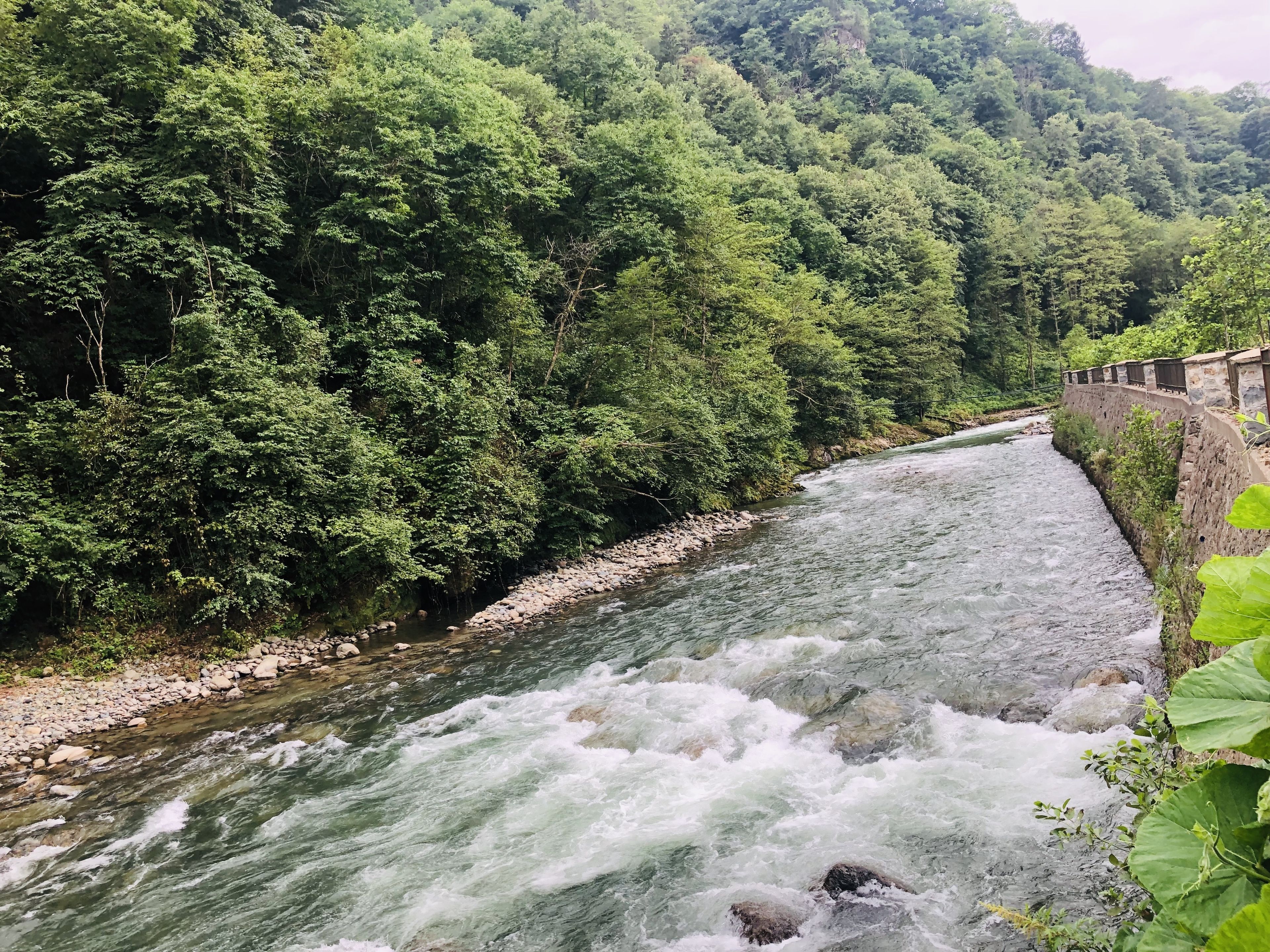 A river flowing through a forested area with a stone retaining wall on one side.