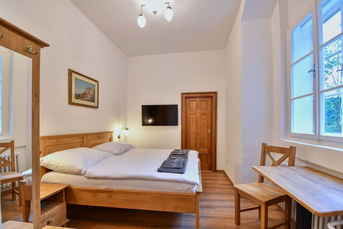 Executive Double Room | Select Comfort beds, free WiFi