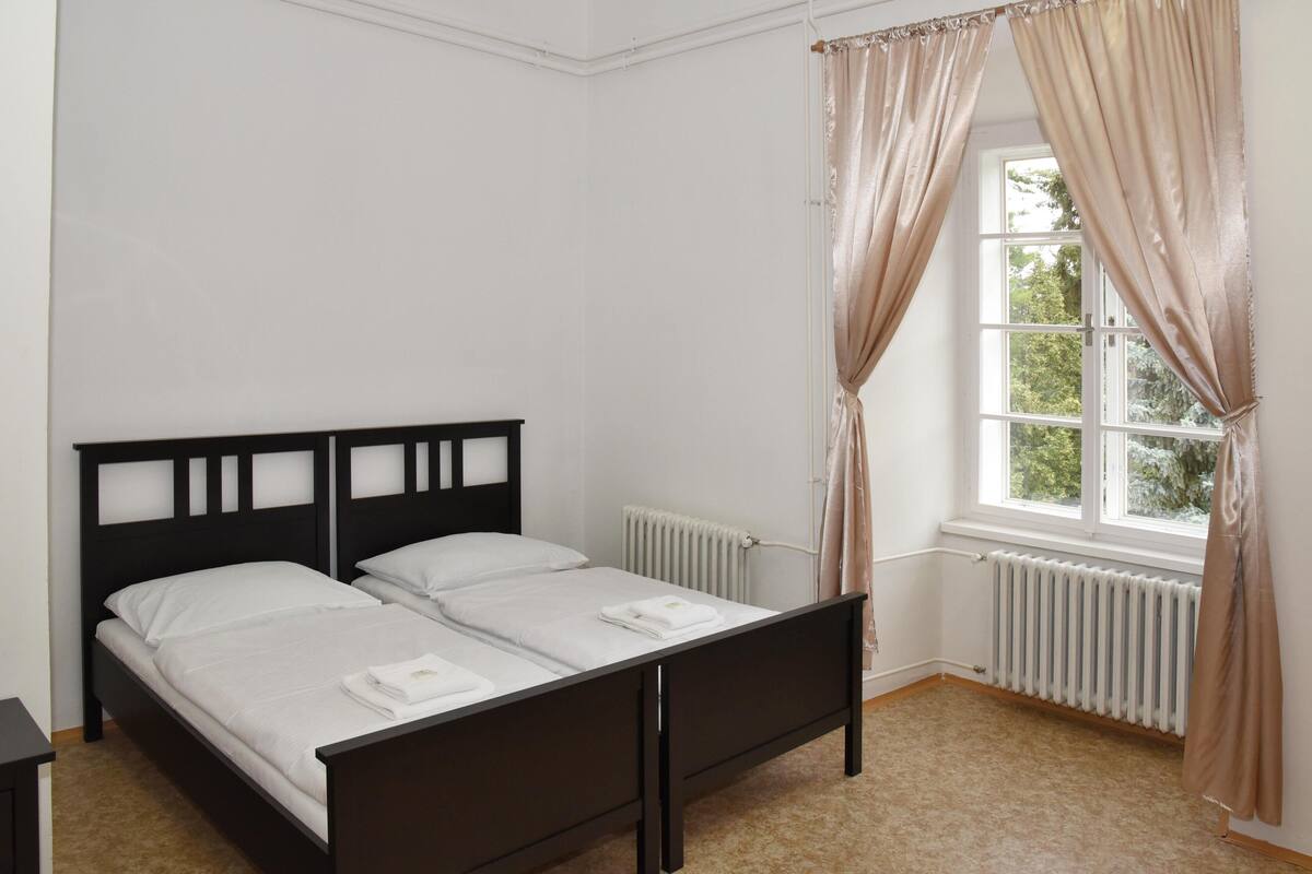 Double or Twin Room, Private Bathroom (Castle Front) | Select Comfort beds, free WiFi