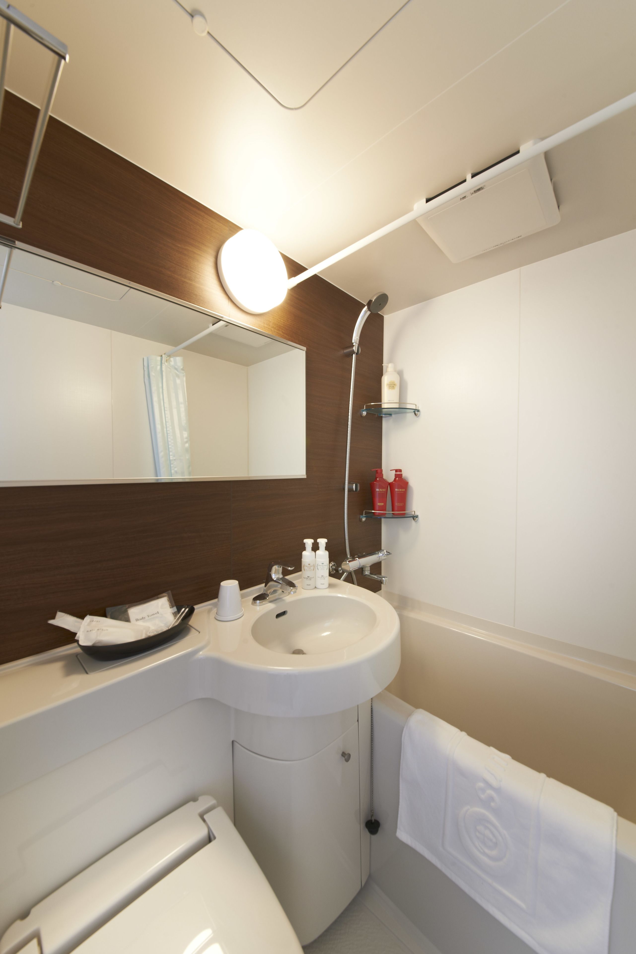standard room | bathroom | combined shower/bathtub, deep-soaking bathtub, free toiletries