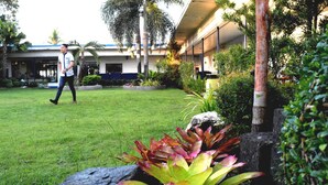 A hotel courtyard with a grassy lawn, palm trees, and a building with large windows.