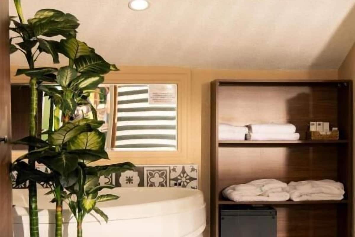 A bathroom with a bathtub, a potted plant, a towel rack, and a shower area.