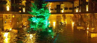 Green House Garden Park