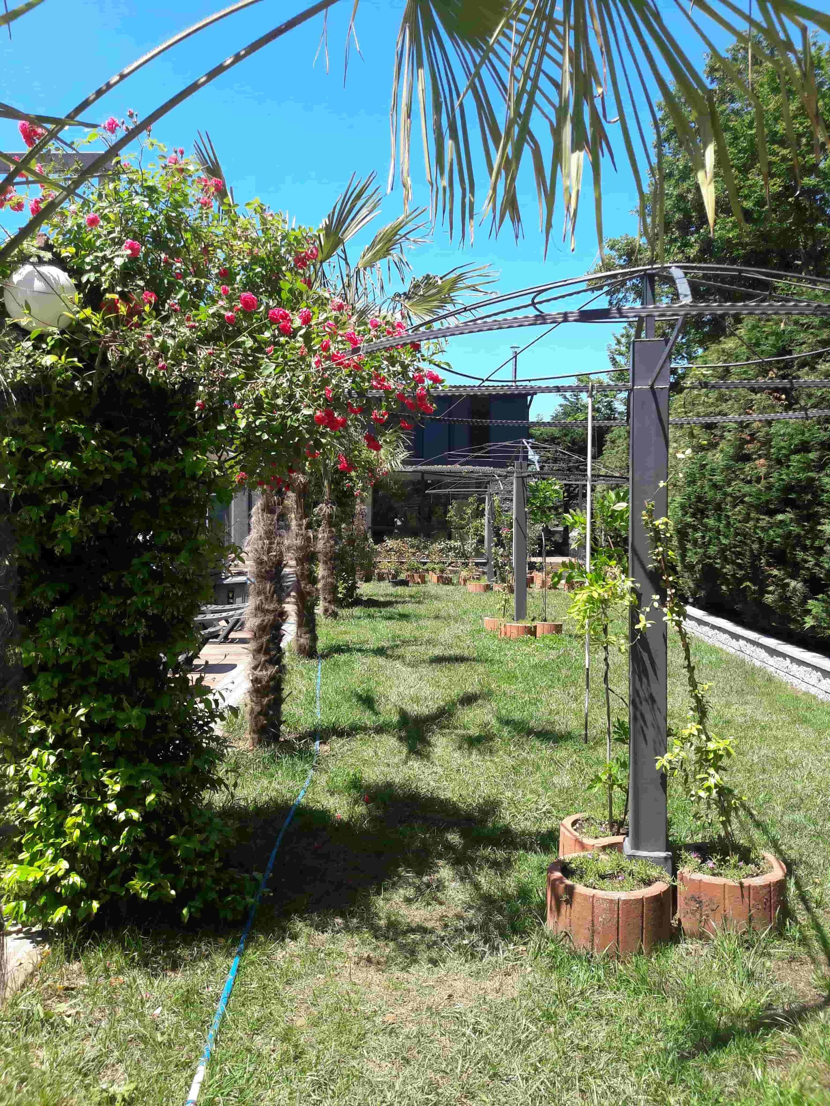 Bahçe