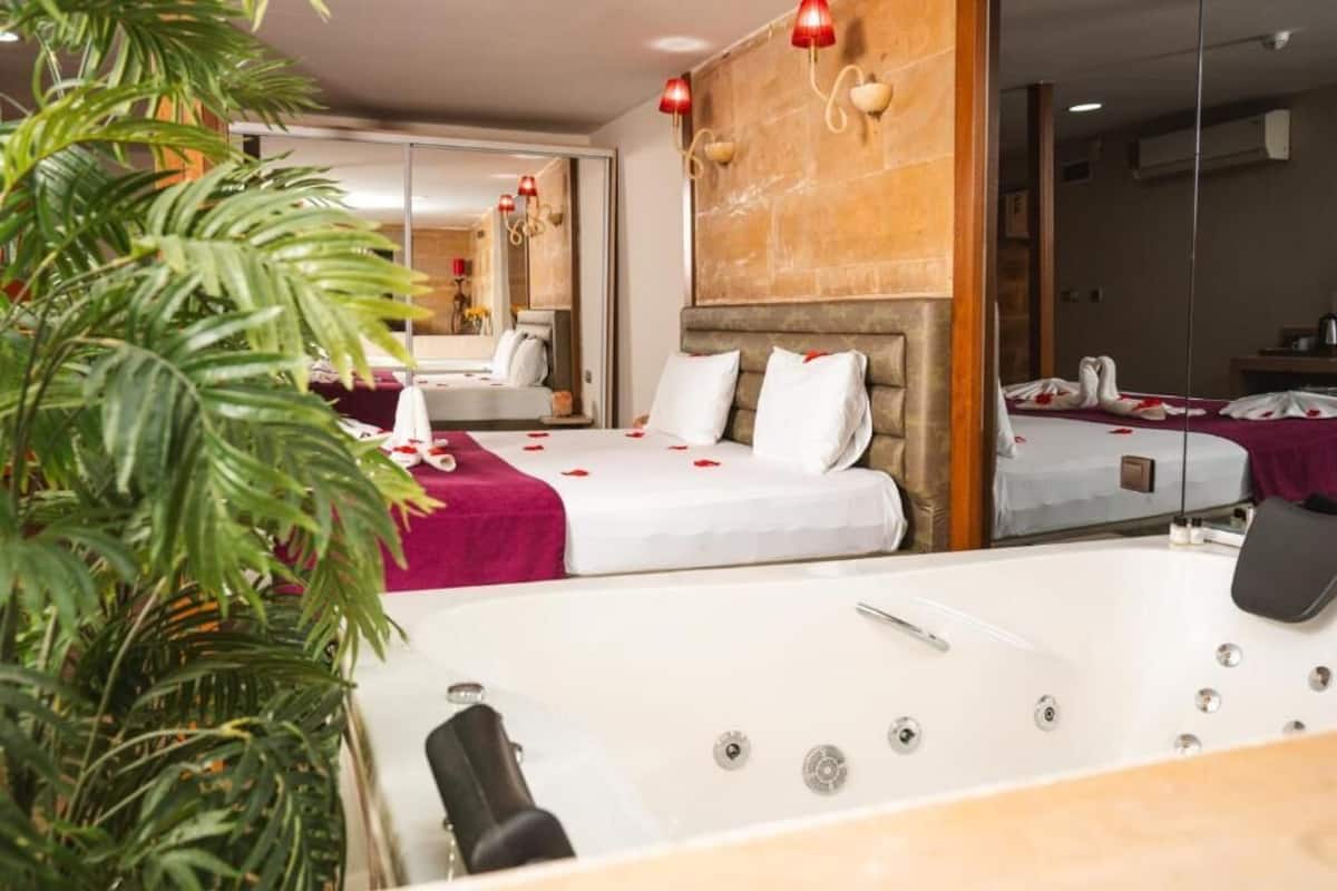 A hotel room with a large bed, a separate sitting area, a bathtub, and a potted plant.