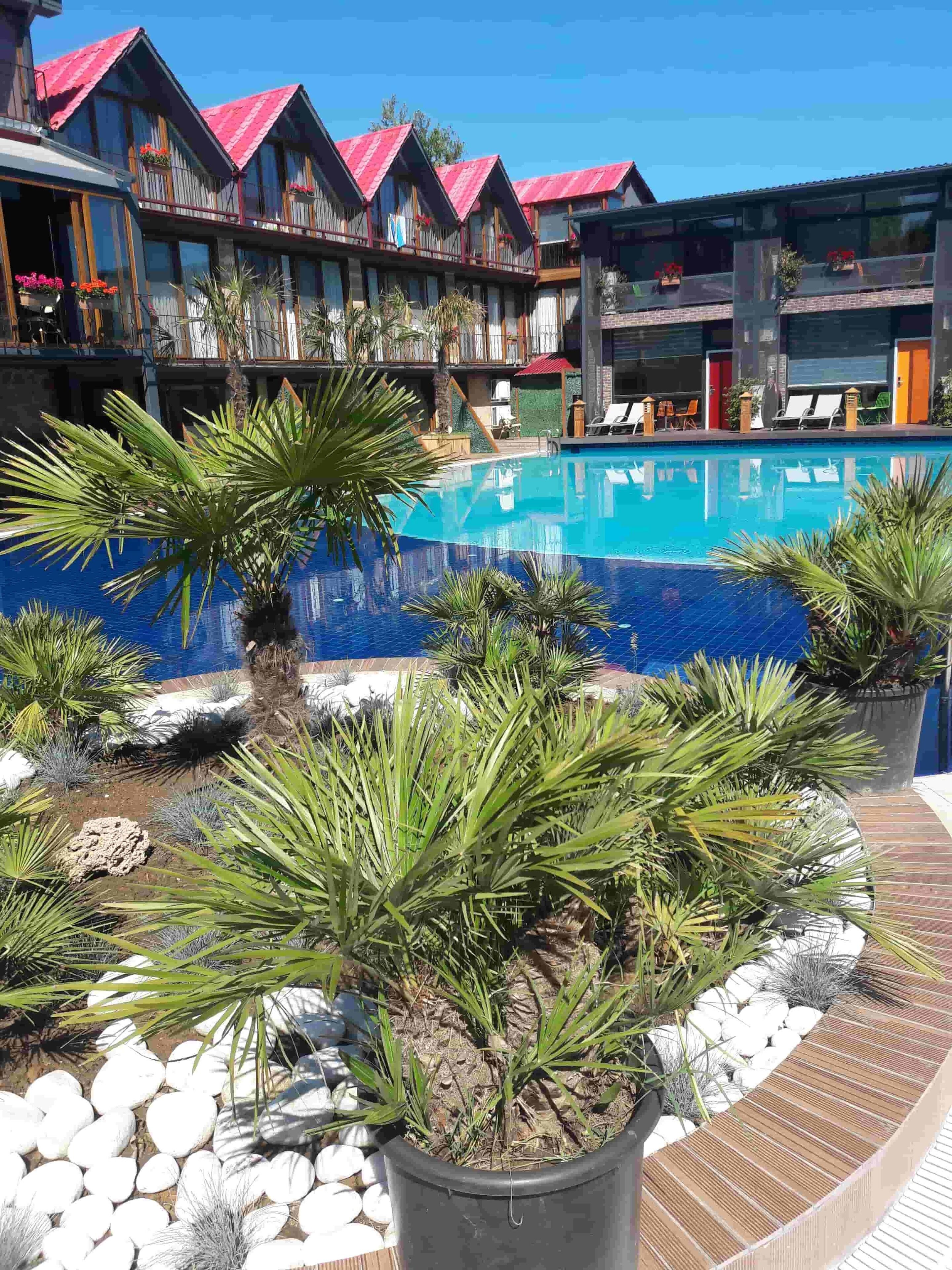 Alberca al aire libre, sombrillas en la alberca y camastros 