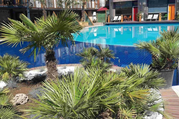 Outdoor pool, pool umbrellas, sun loungers