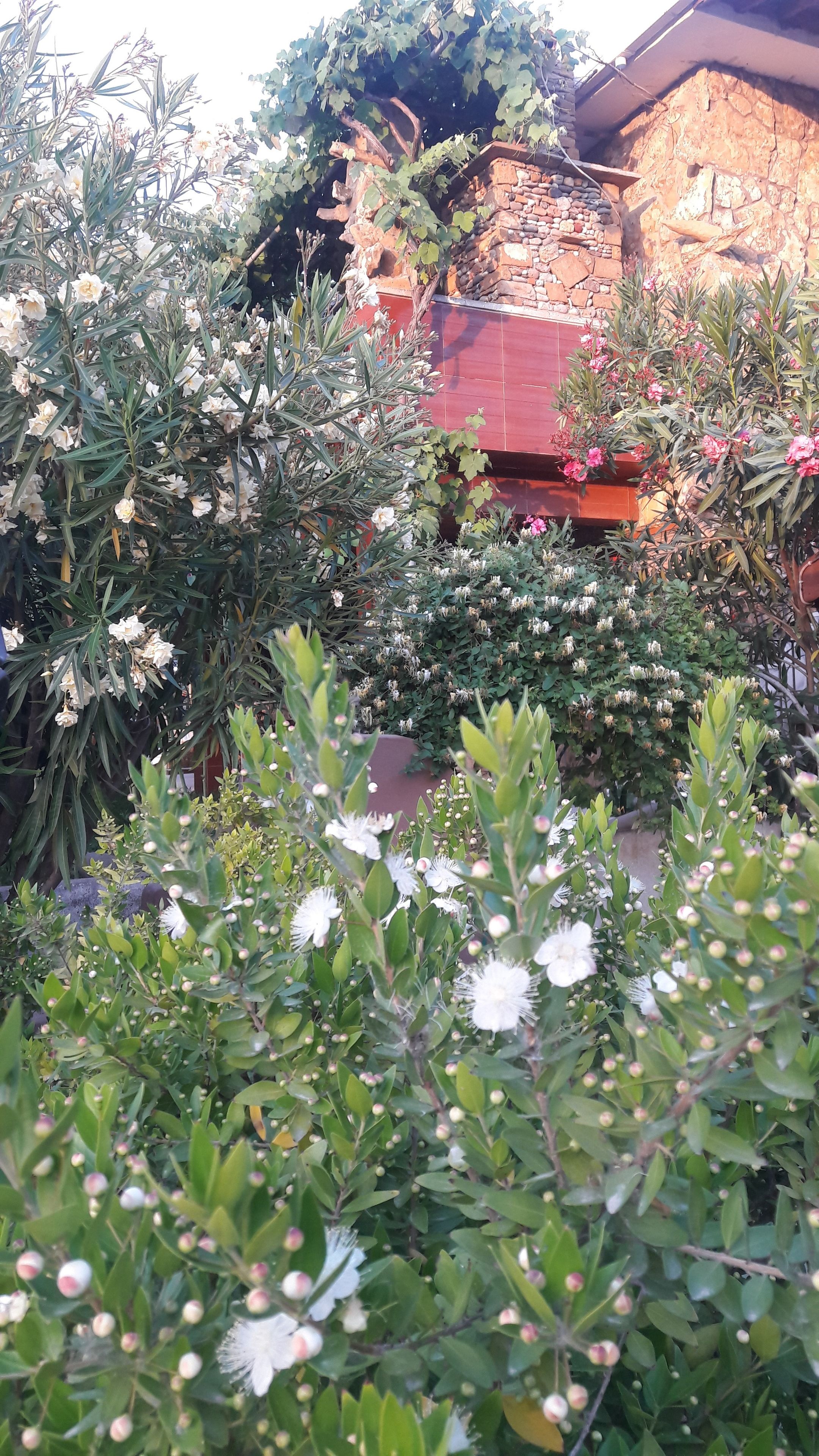 Un jardín con diversas plantas y flores, un muro de piedra y una estructura de tejas rojas.