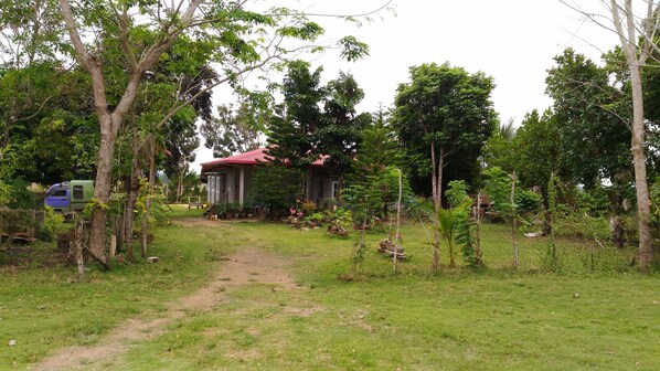 Property grounds - Jomajean Garden (Milagros)