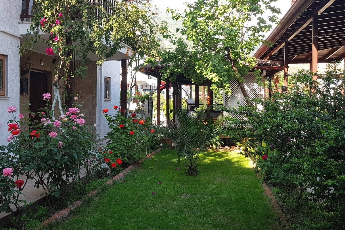 A garden with a variety of flowers and a pergola structure.