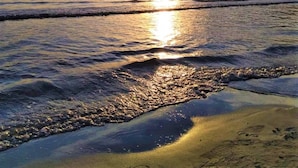 Una playa con el sol reflejado en el agua, una orilla arenosa y una línea de árboles en la distancia.