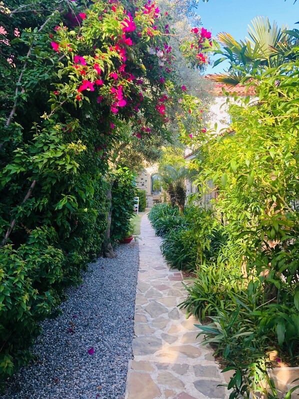 Jardin