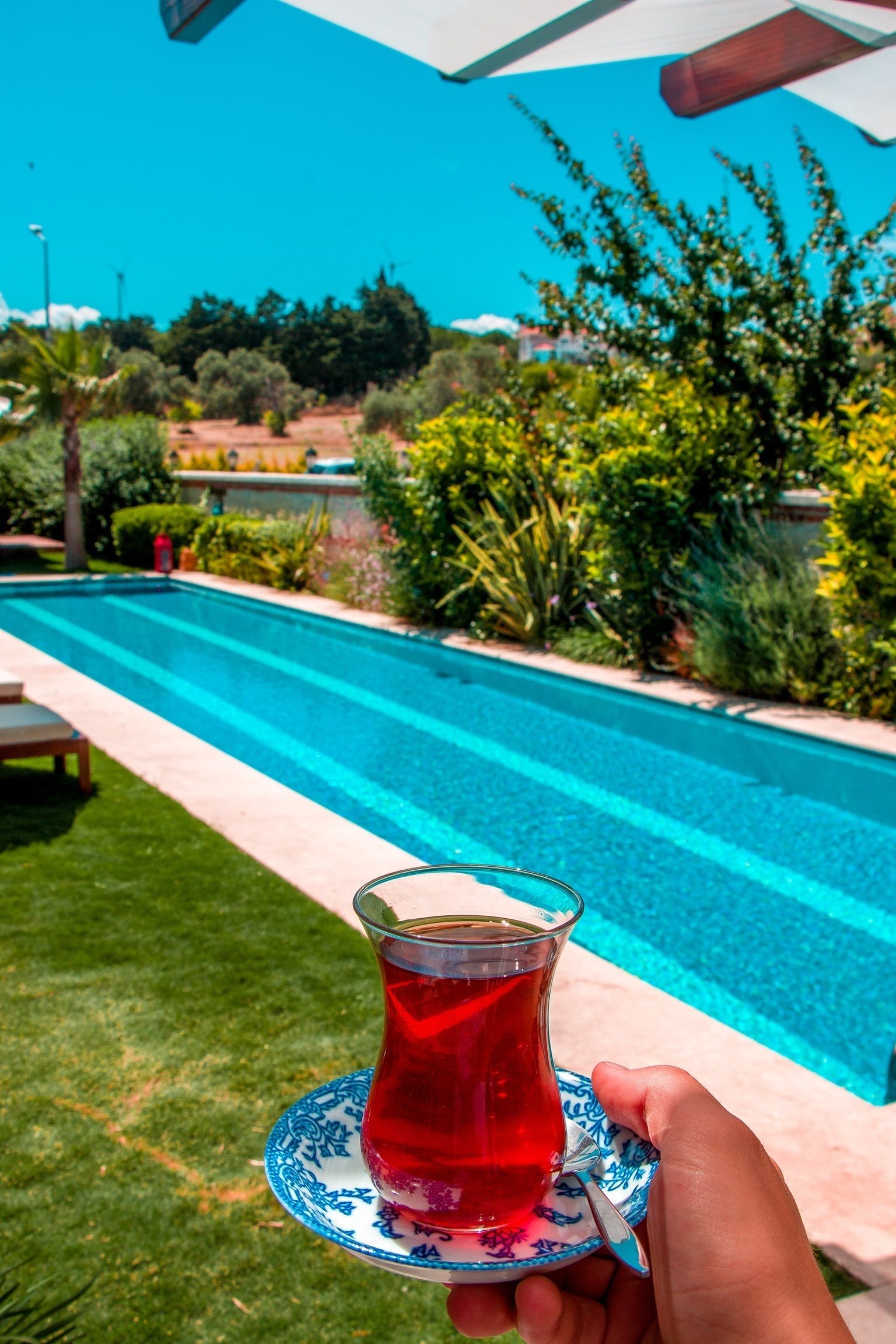 outdoor pool, pool umbrellas, pool loungers