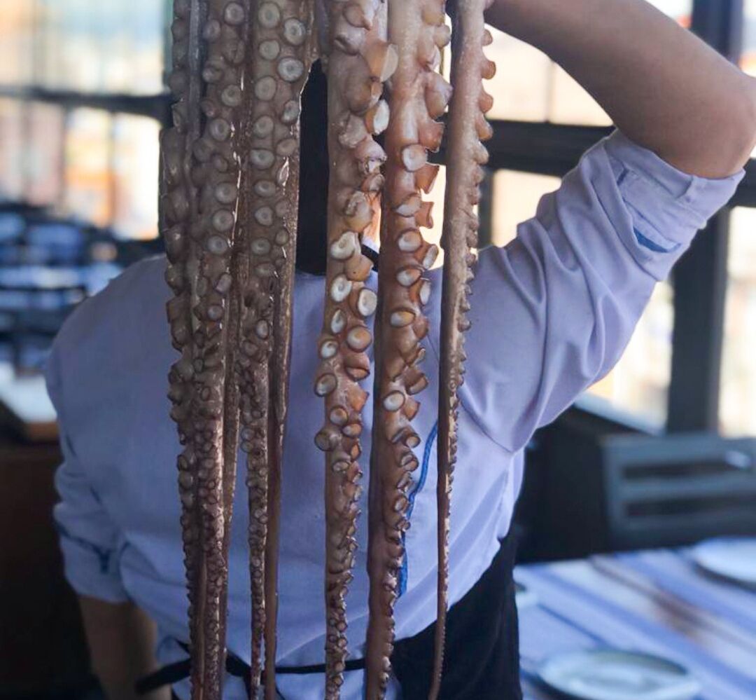 breakfast and dinner served, sea views